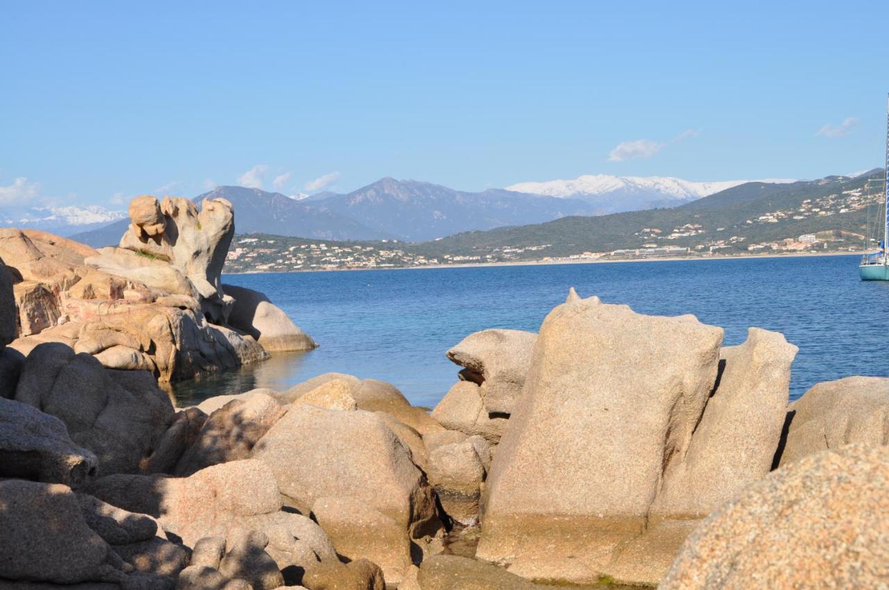 Appartement T2 Porticcio Vue Sur Mer Eksteriør billede