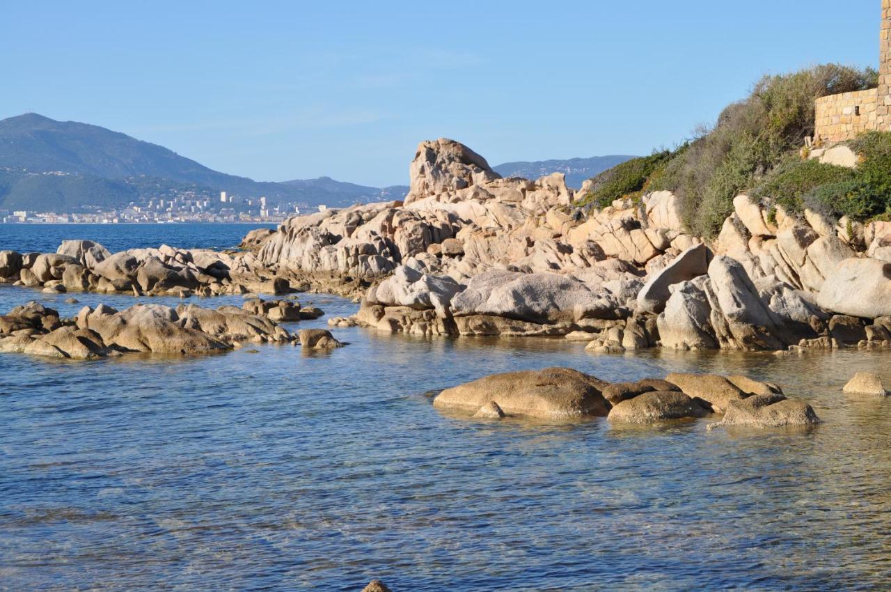 Appartement T2 Porticcio Vue Sur Mer Eksteriør billede